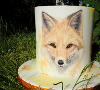 Kurz Fox na Adelajde.cz - Dorty pro radost Kurz Fox